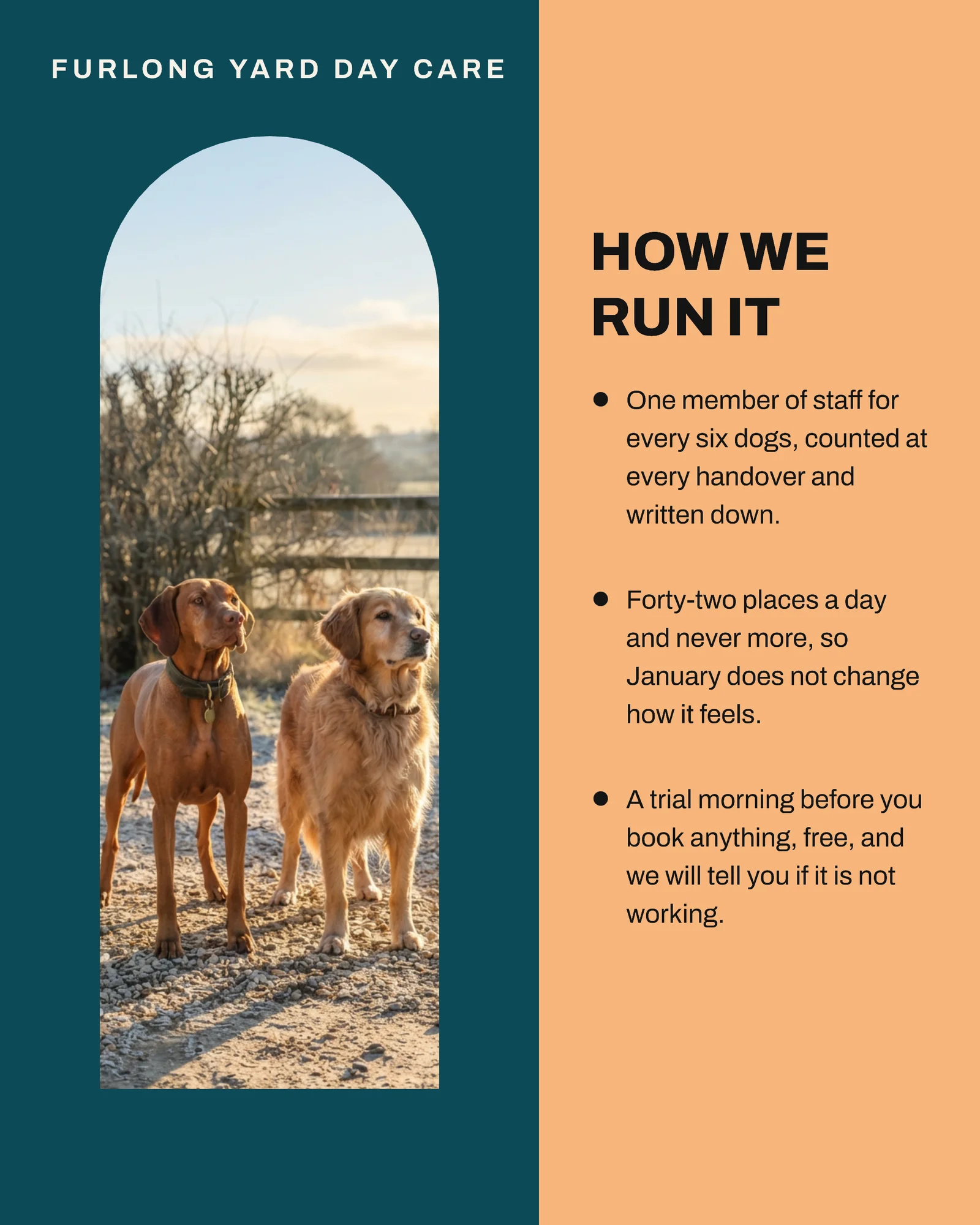 Teal Apricot Arch Aperture Dog Daycare January Places Facebook Carousel — 4-panel Facebook carousel carousel template, page 3 of 4