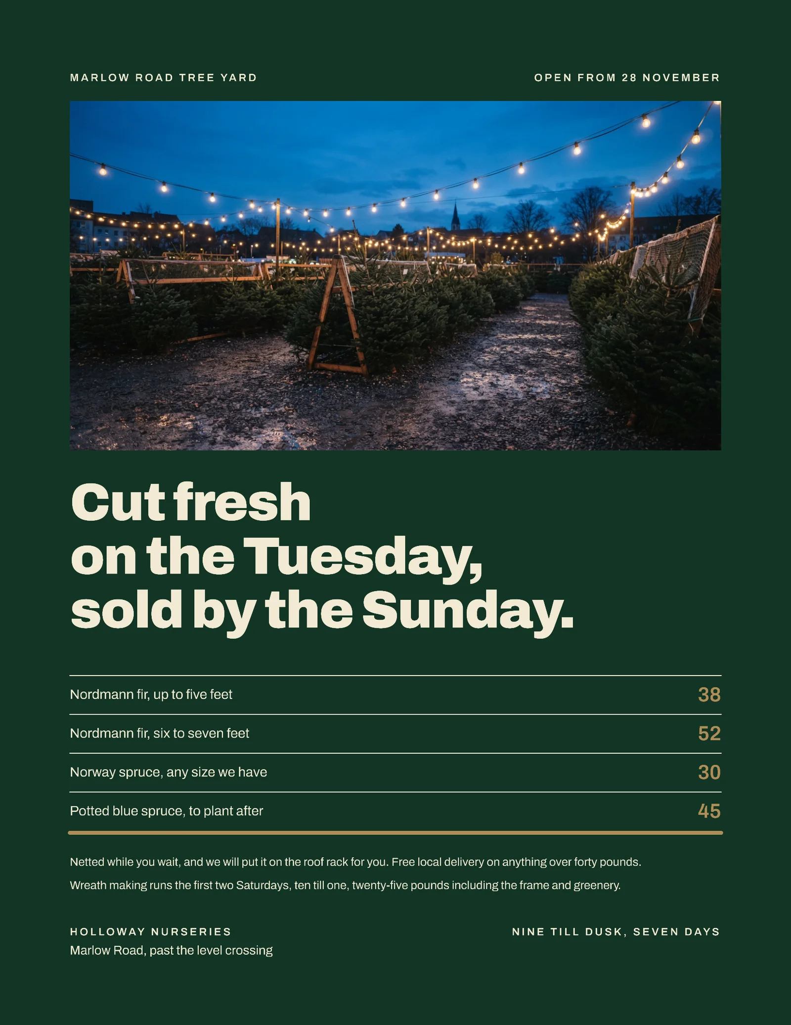 Forest Photo Window Christmas Tree Yard Flyer — Letter Flyer template