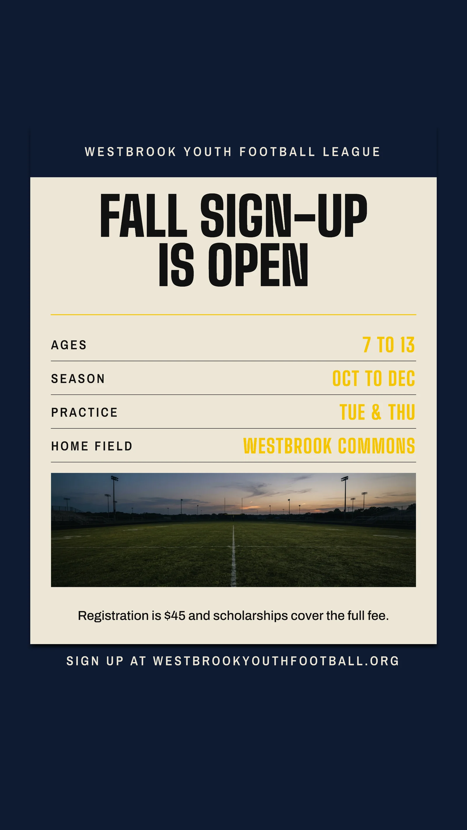 Pinned Notice Youth League Fall Sign-Up Instagram Story — 9:16 Instagram story template
