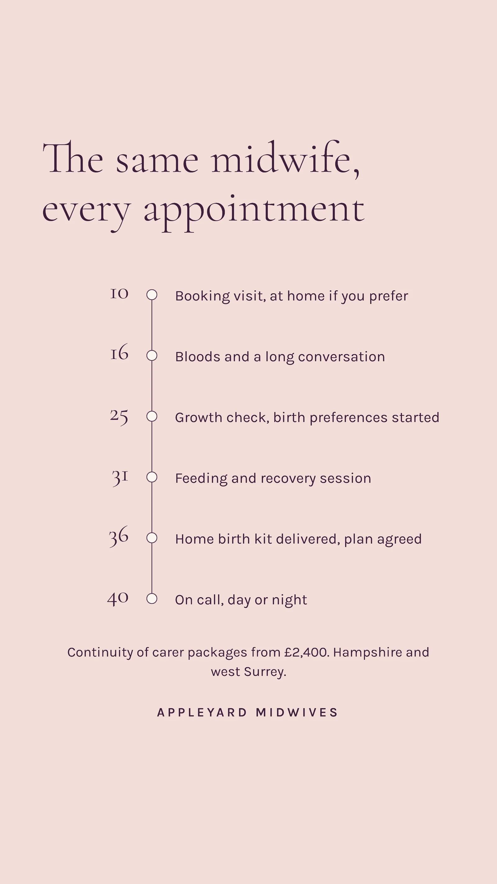 Week Timeline Antenatal Midwifery Instagram Story — 9:16 Instagram story template