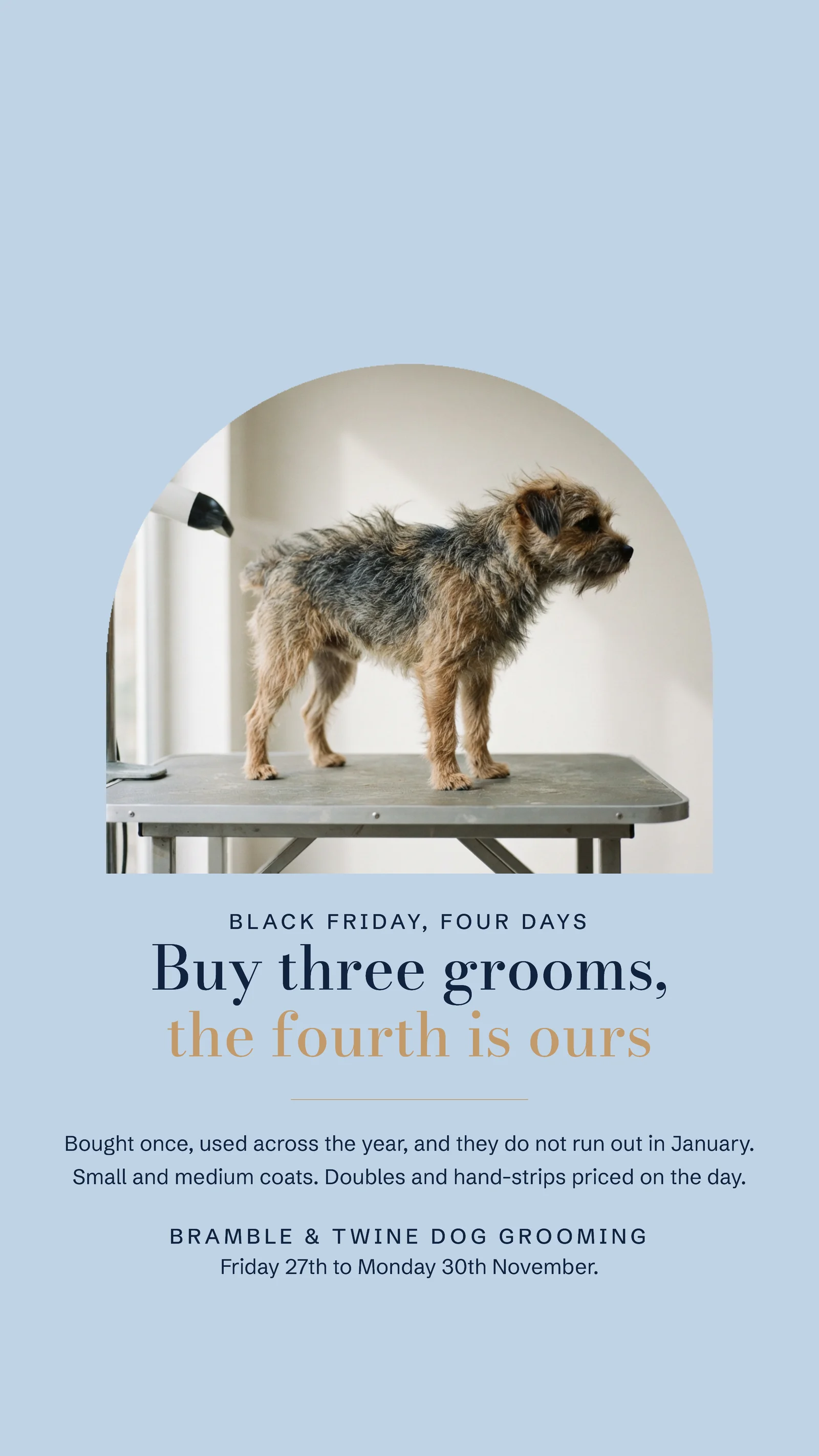 Powder Blue Arched Aperture Dog Grooming Black Friday Facebook Story — 9:16 Facebook story template