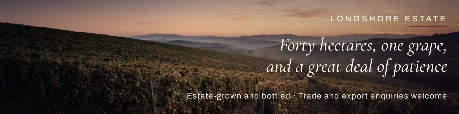 Vine Full Bleed Winery Estate LinkedIn Banner — 4:1 LinkedIn banner template