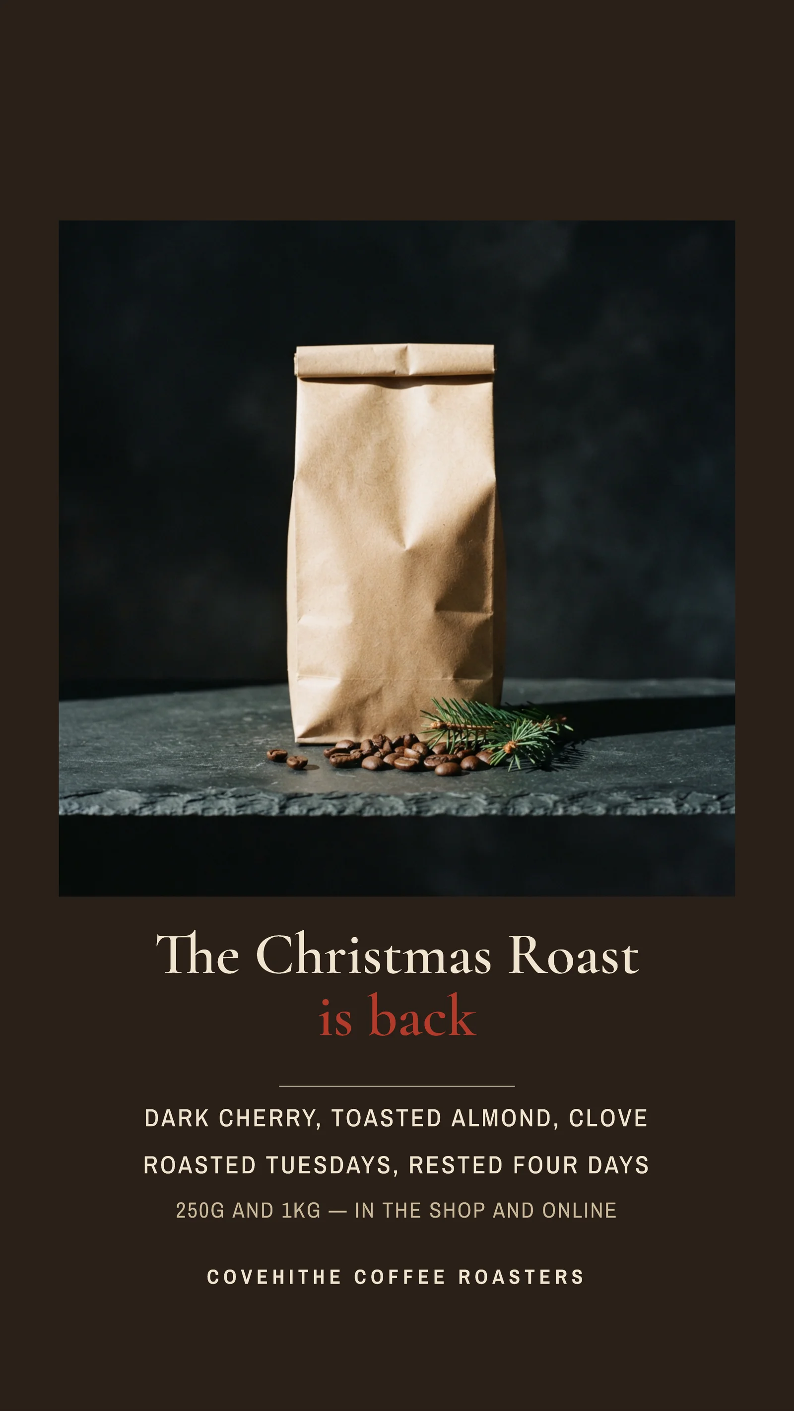 Studio Product Christmas Roast Instagram Story — 9:16 Instagram story template