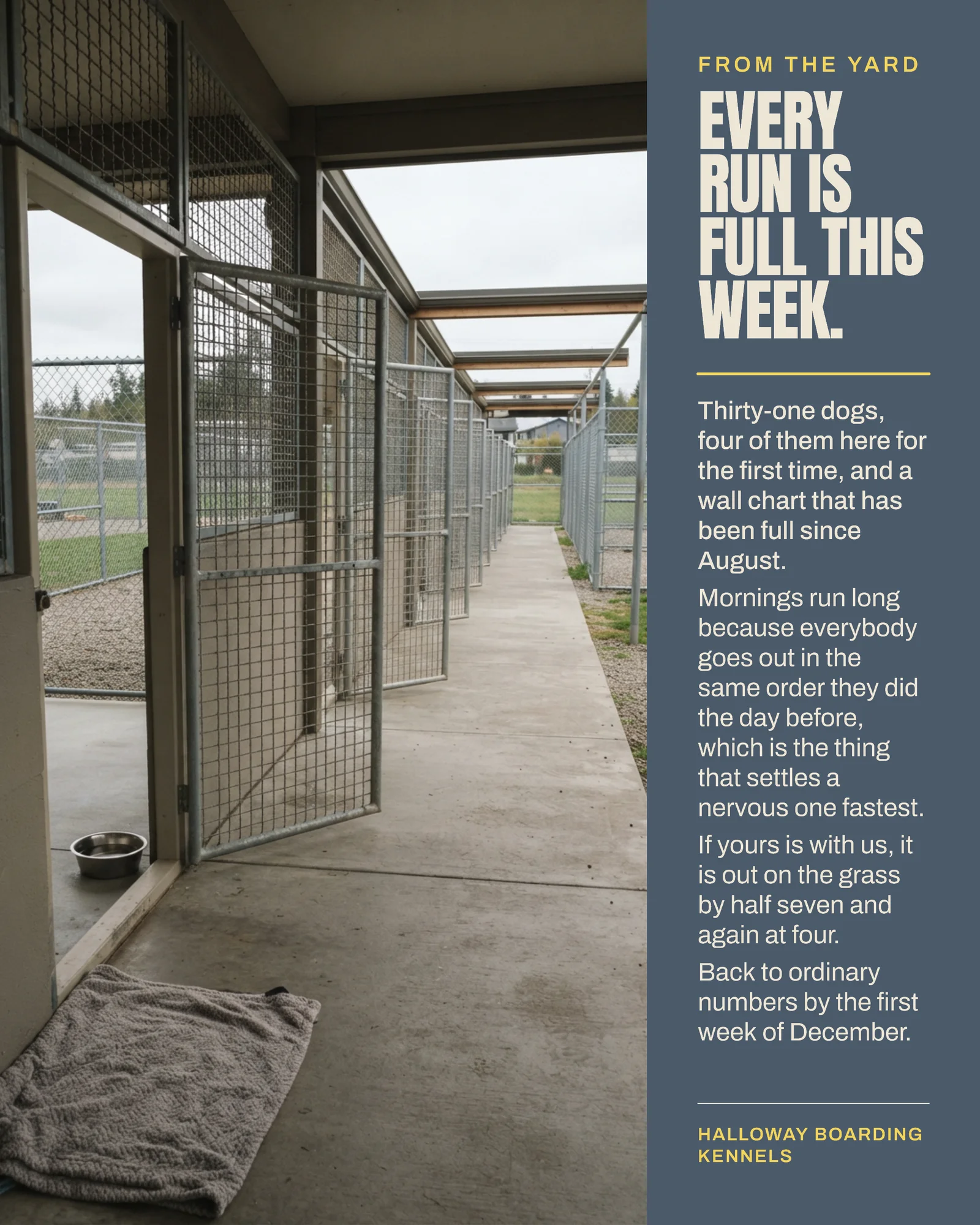 Slate Photo Column Boarding Kennels Thanksgiving Week Instagram Post — 4:5 Instagram post template