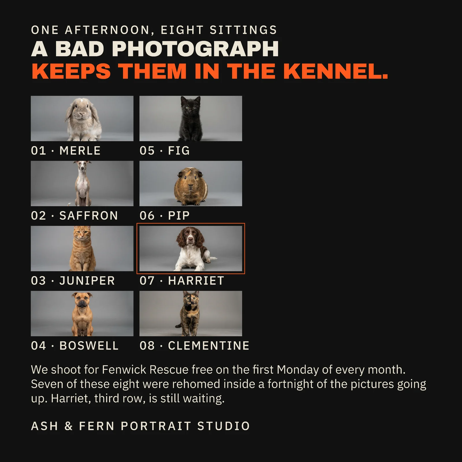 Near Black Orange Contact Sheet Portrait Studio Eight Sittings Facebook Post — 1:1 Facebook post template