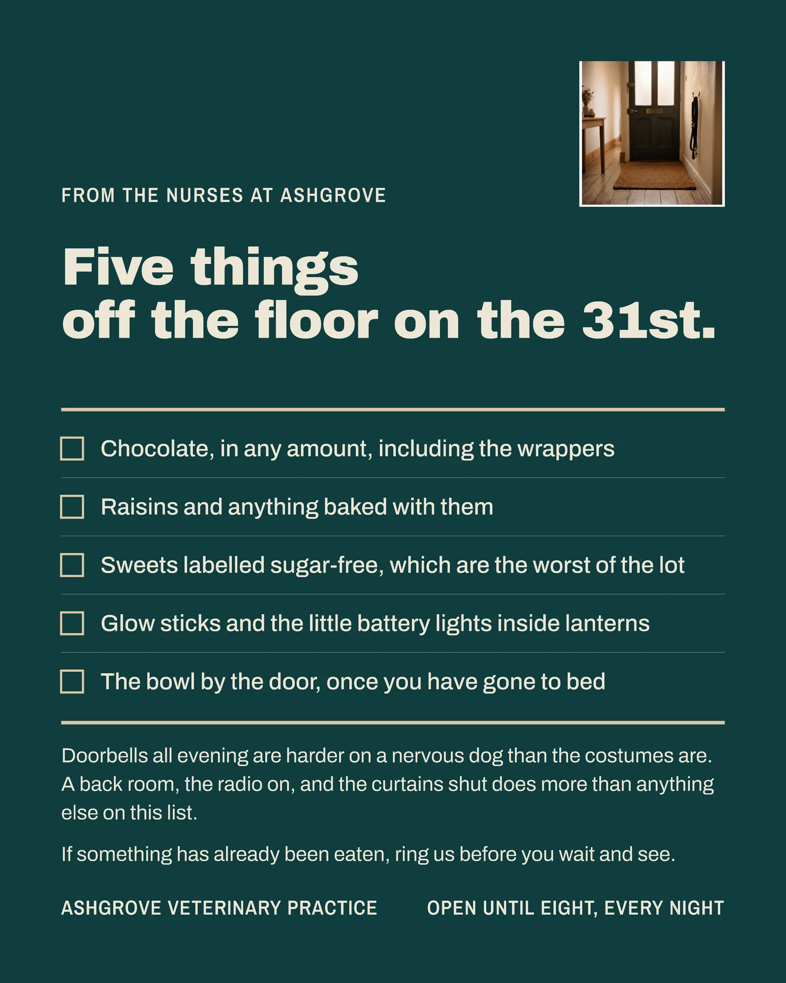 Teal Checklist Veterinary Halloween Night Instagram Post — 4:5 Instagram post template