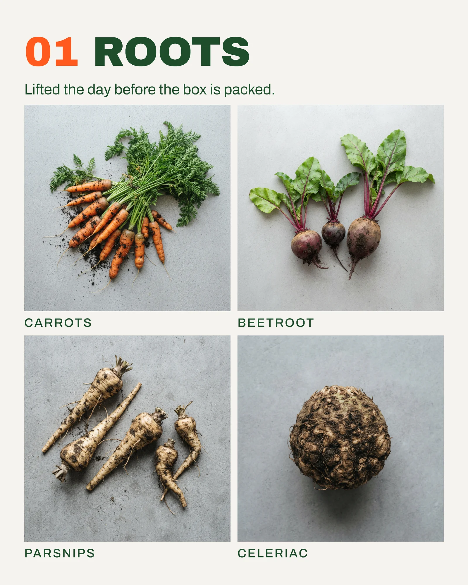 Veg Box Scheme Index Grid Facebook Carousel — 6-panel Instagram carousel carousel template, page 2 of 6
