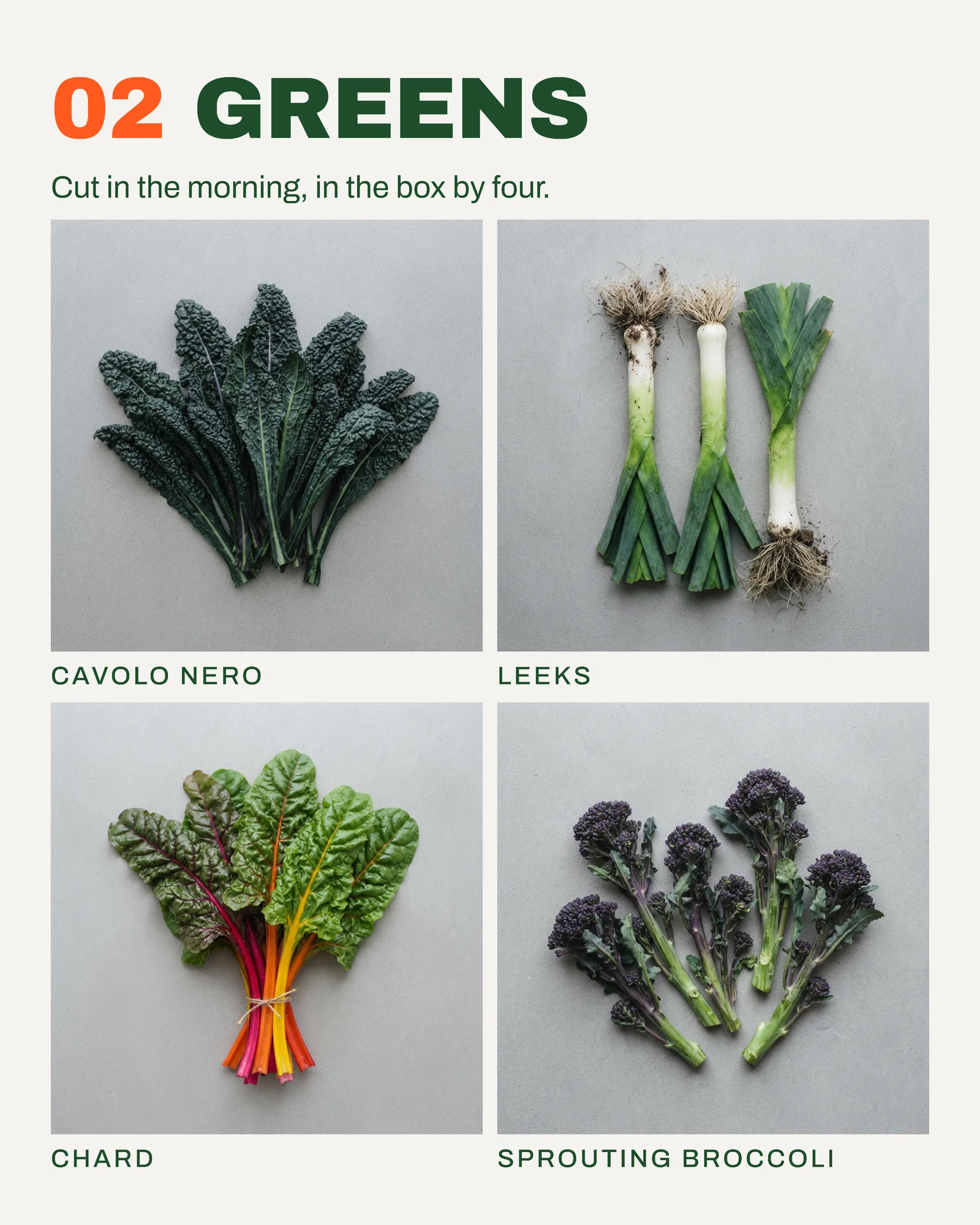 Veg Box Scheme Index Grid Facebook Carousel — 6-panel Instagram carousel carousel template, page 3 of 6