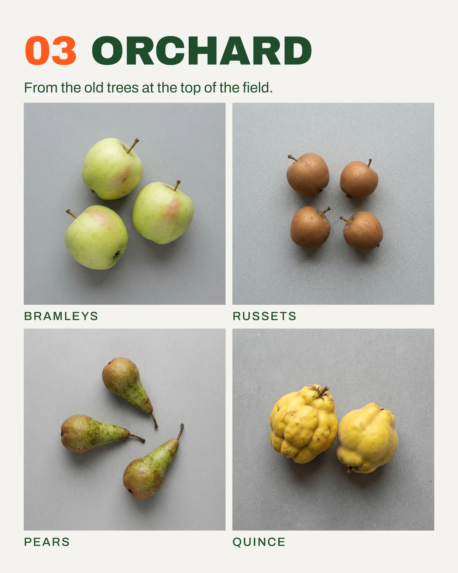 Veg Box Scheme Index Grid Facebook Carousel — 6-panel Instagram carousel carousel template, page 4 of 6