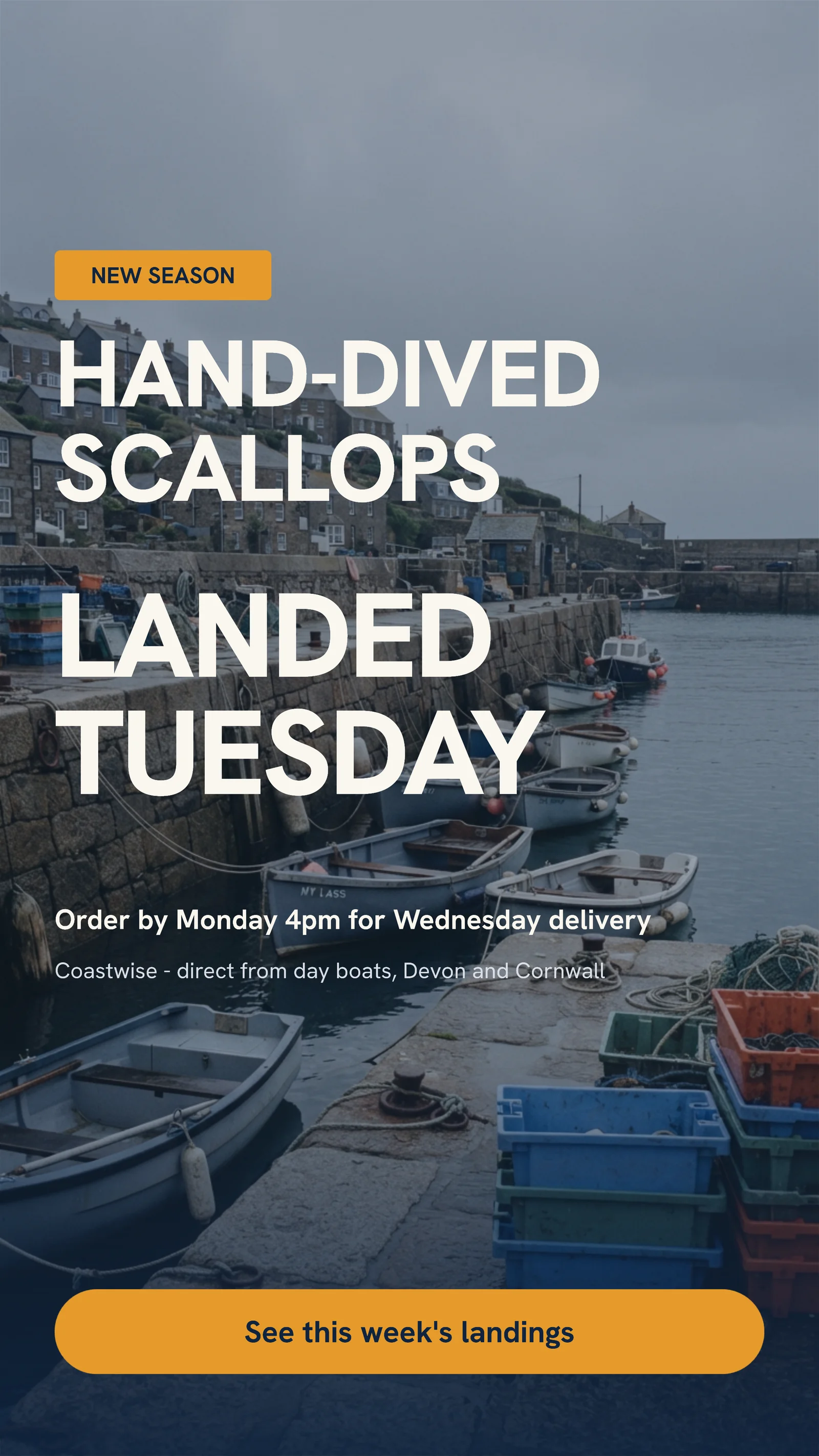 Harbour photo landing note — 9:16 Instagram ad template