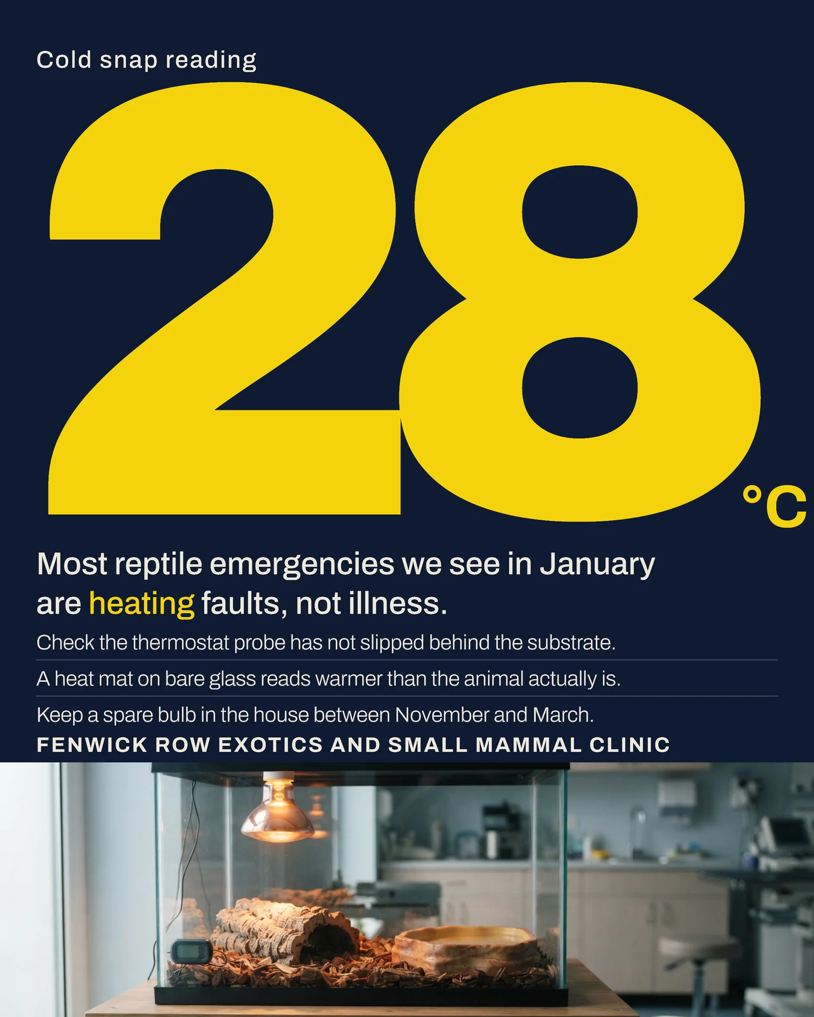 Exotics Clinic Winter Heating Fact Facebook Post — 4:5 Facebook post template