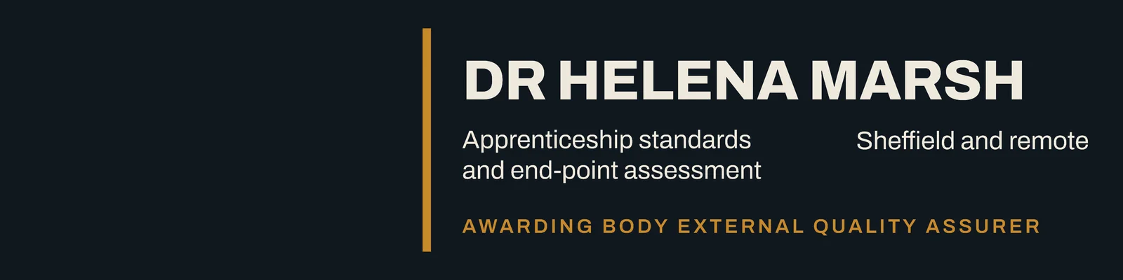 Ink Ochre Rule Apprenticeship Assessor LinkedIn Banner — 4:1 LinkedIn banner template
