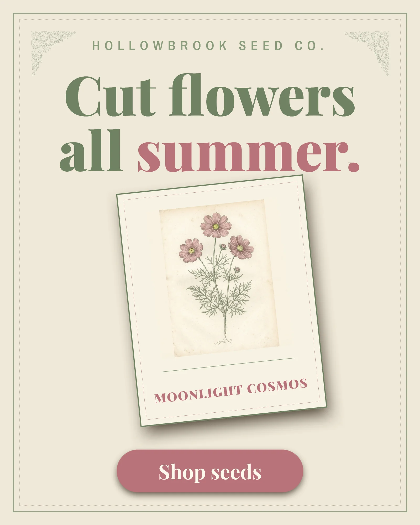 Vintage seed packet ad — 4:5 Instagram ad template