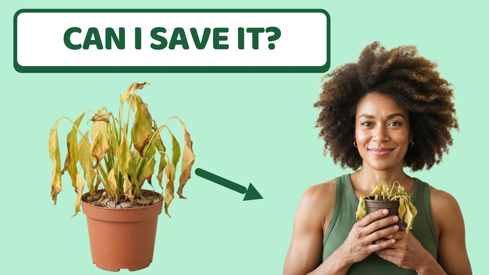 Plant Rescue YouTube Thumbnail — 16:9 Youtube thumbnail template