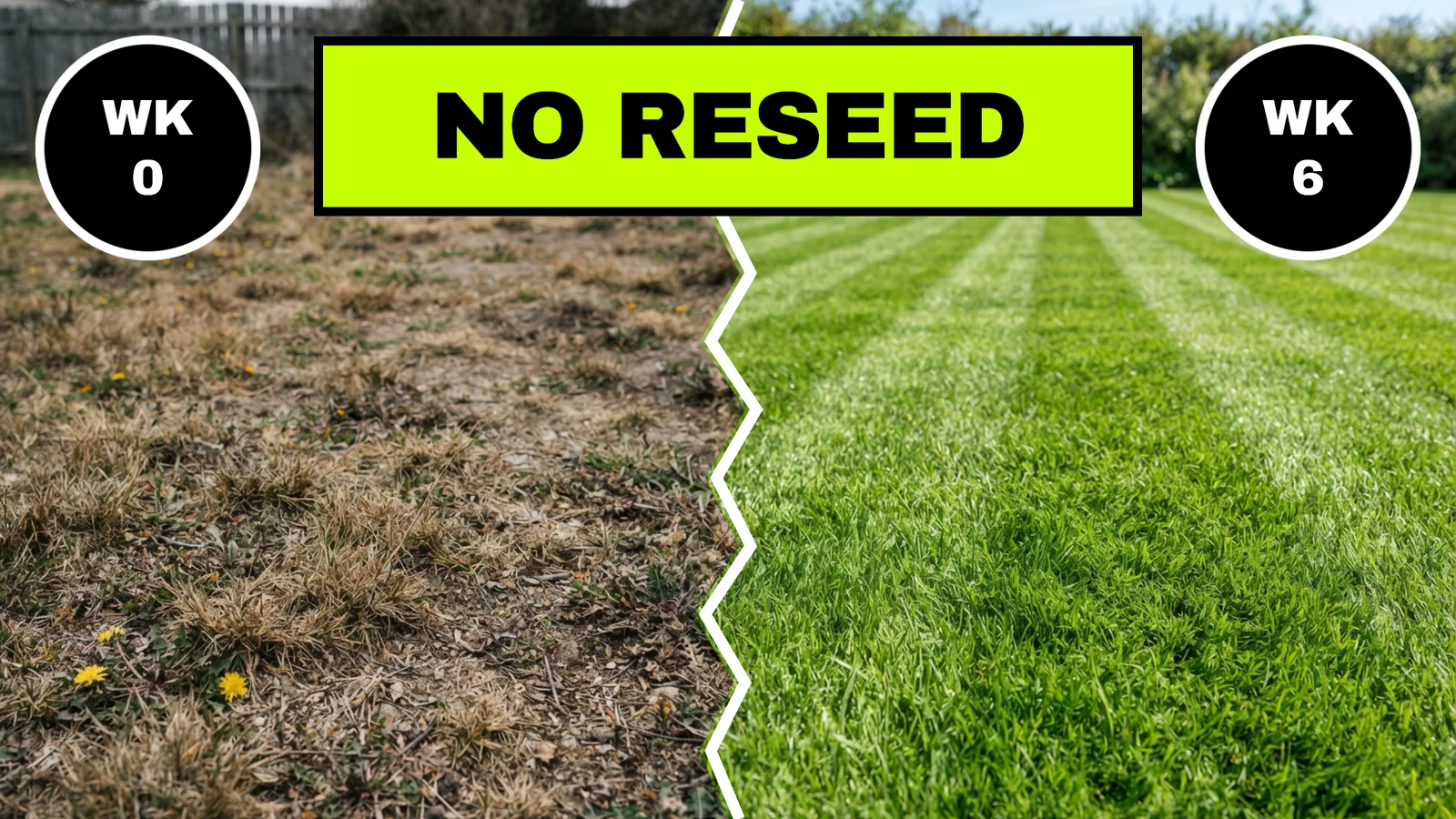 Lawn Rescue YouTube Thumbnail — 16:9 Youtube thumbnail template