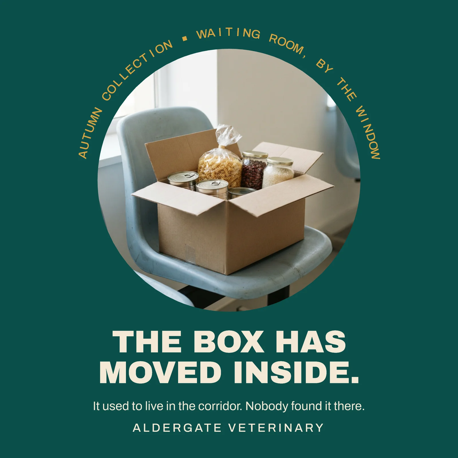 Teal Ochre Photo Medallion Veterinary The Box Has Moved Inside Instagram Post — 1:1 Instagram post template