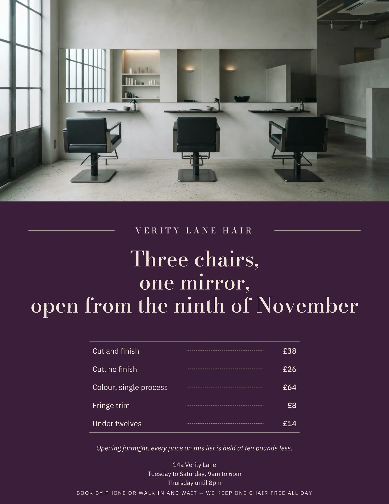 Plum Bone Photo Band Hair Salon Grand Opening Flyer — Letter Flyer template