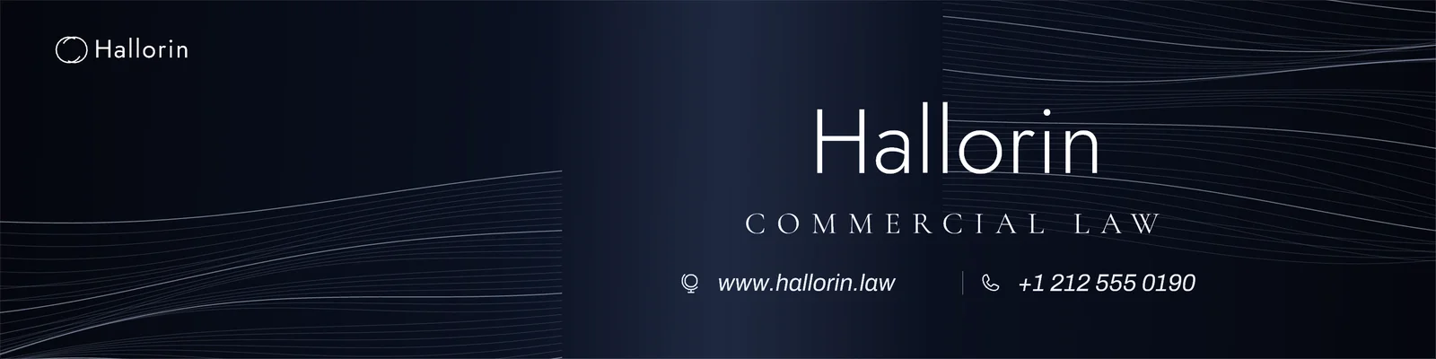 Contour line banner — 4:1 LinkedIn banner template