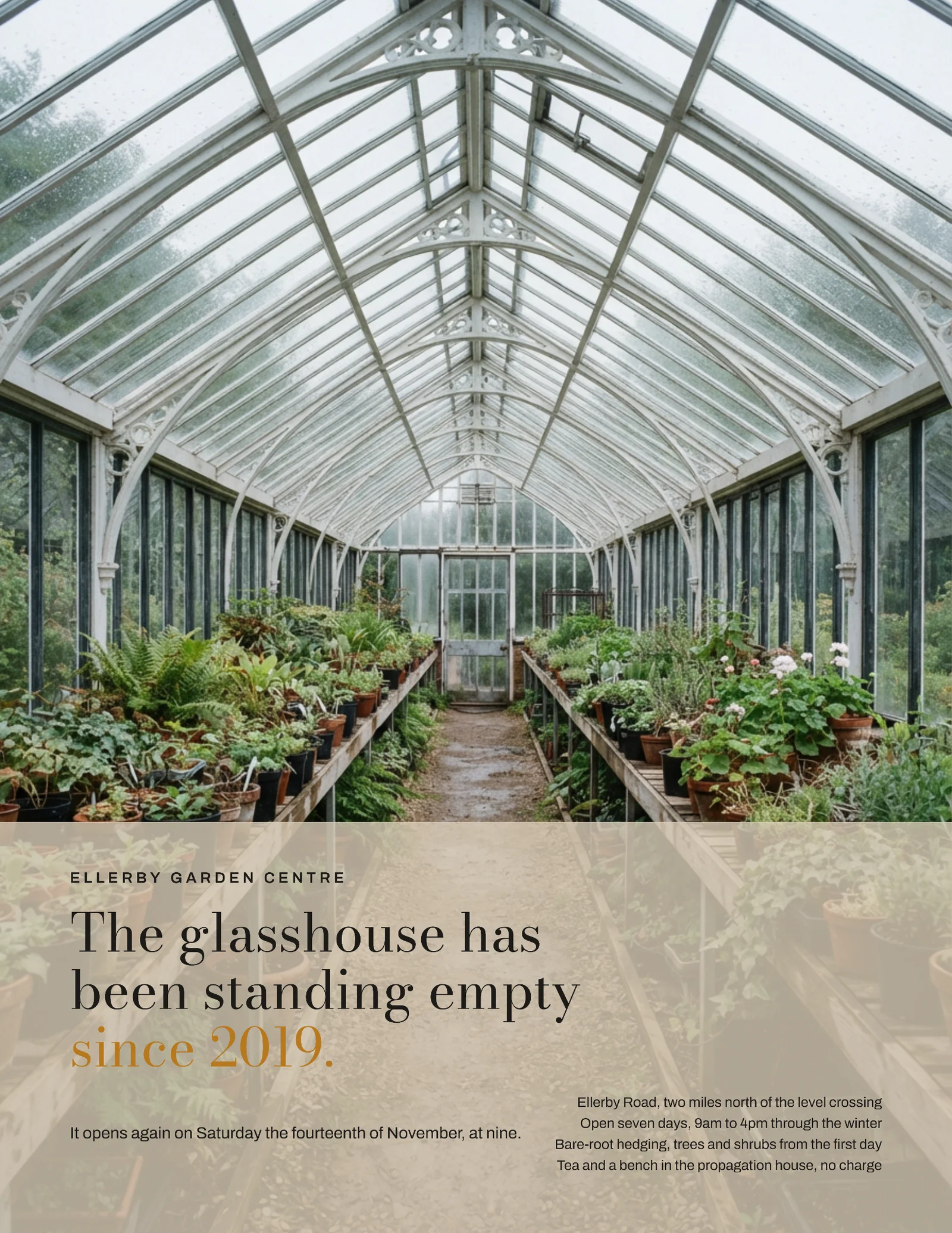 Stone Ochre Full Bleed Glasshouse Garden Centre Grand Opening Flyer — Letter Flyer template