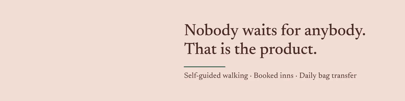 Walking Company LinkedIn Banner — 4:1 LinkedIn banner template