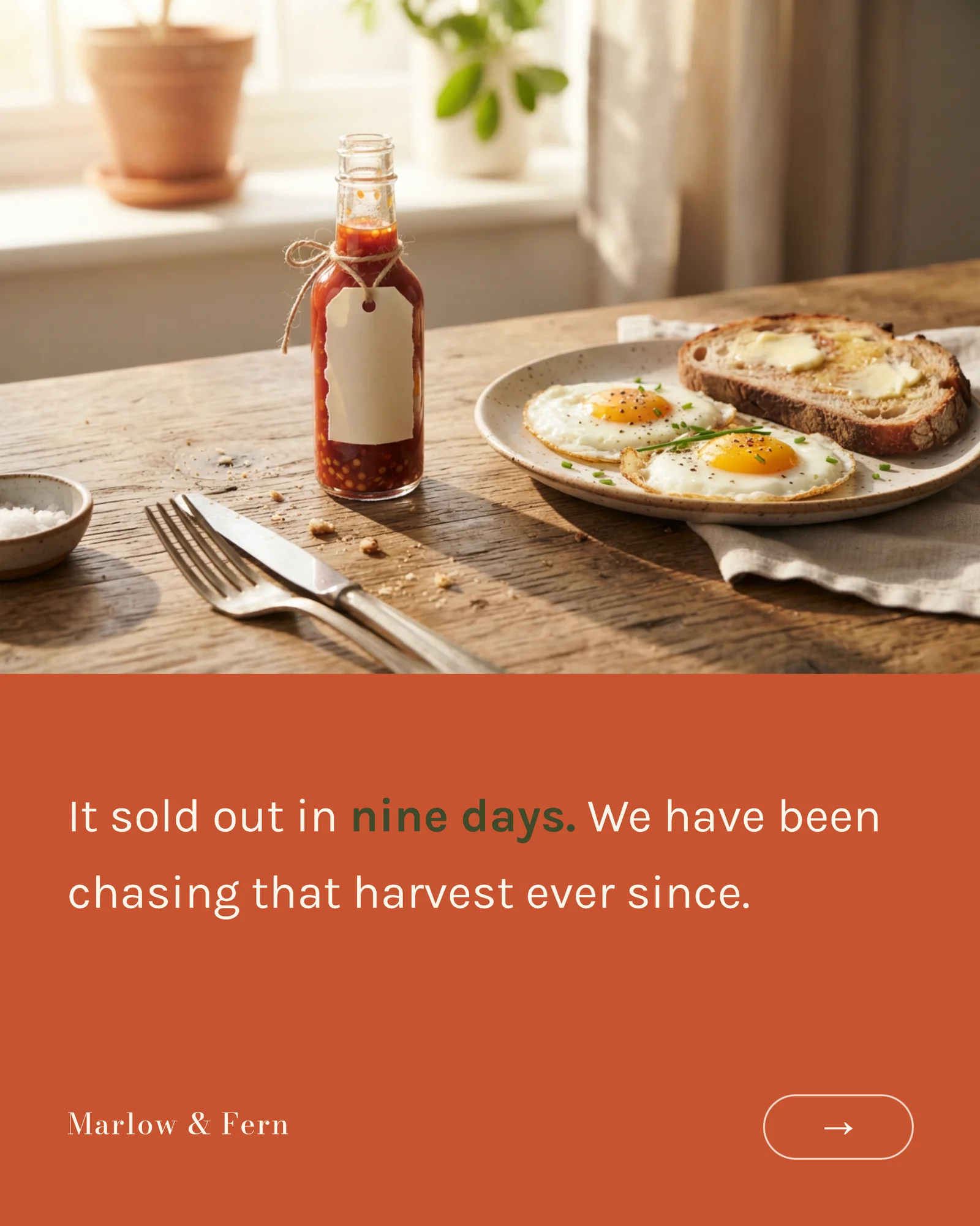 Terracotta serif origin story carousel — 5-panel Instagram carousel carousel template, page 4 of 5