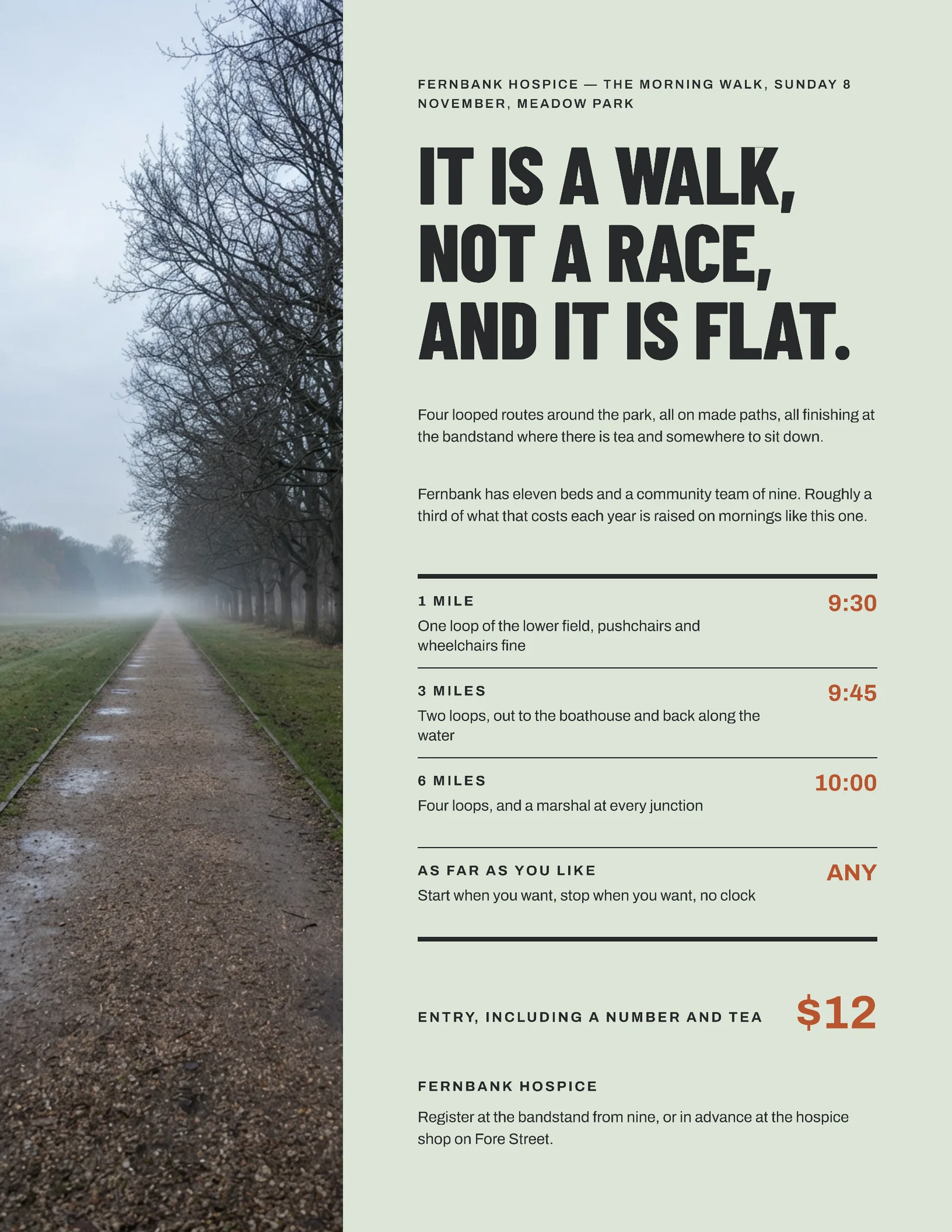 Sage Terracotta Photo Column Hospice Morning Walk Flyer — Letter Flyer template